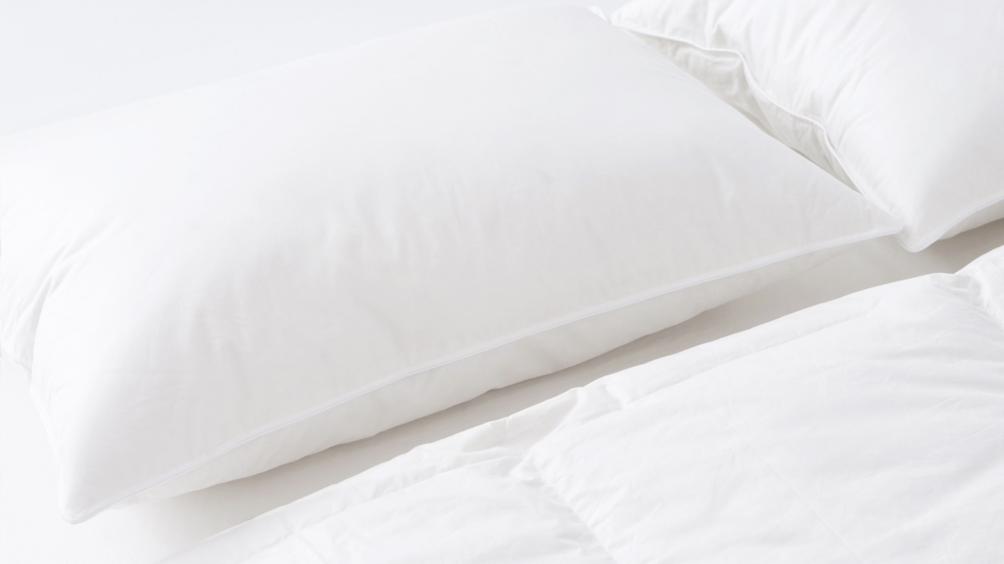 Down Surround Pillow Eq3