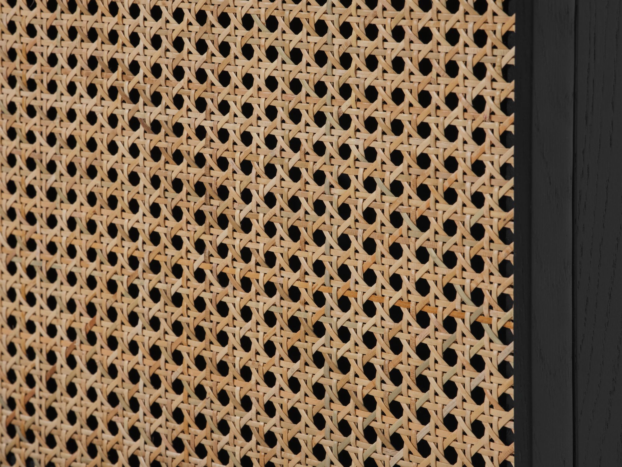 Plank Wall Shelf - Long - Black Oak