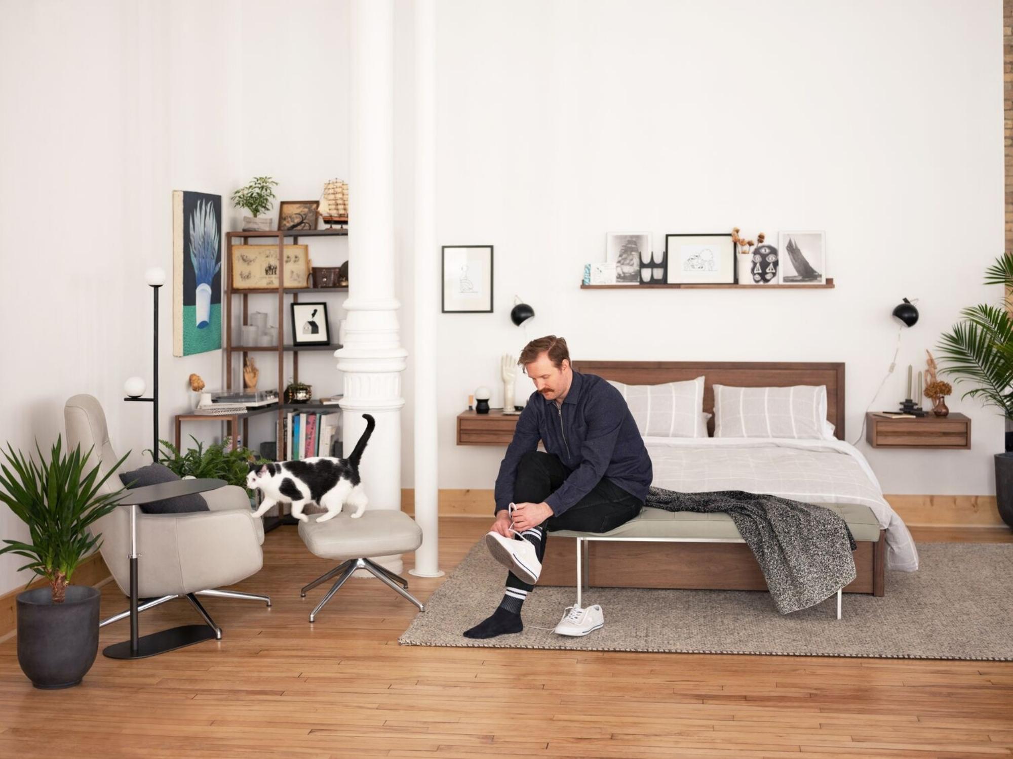 Walnut panel bed in bright modern bedroom with man and cat in it