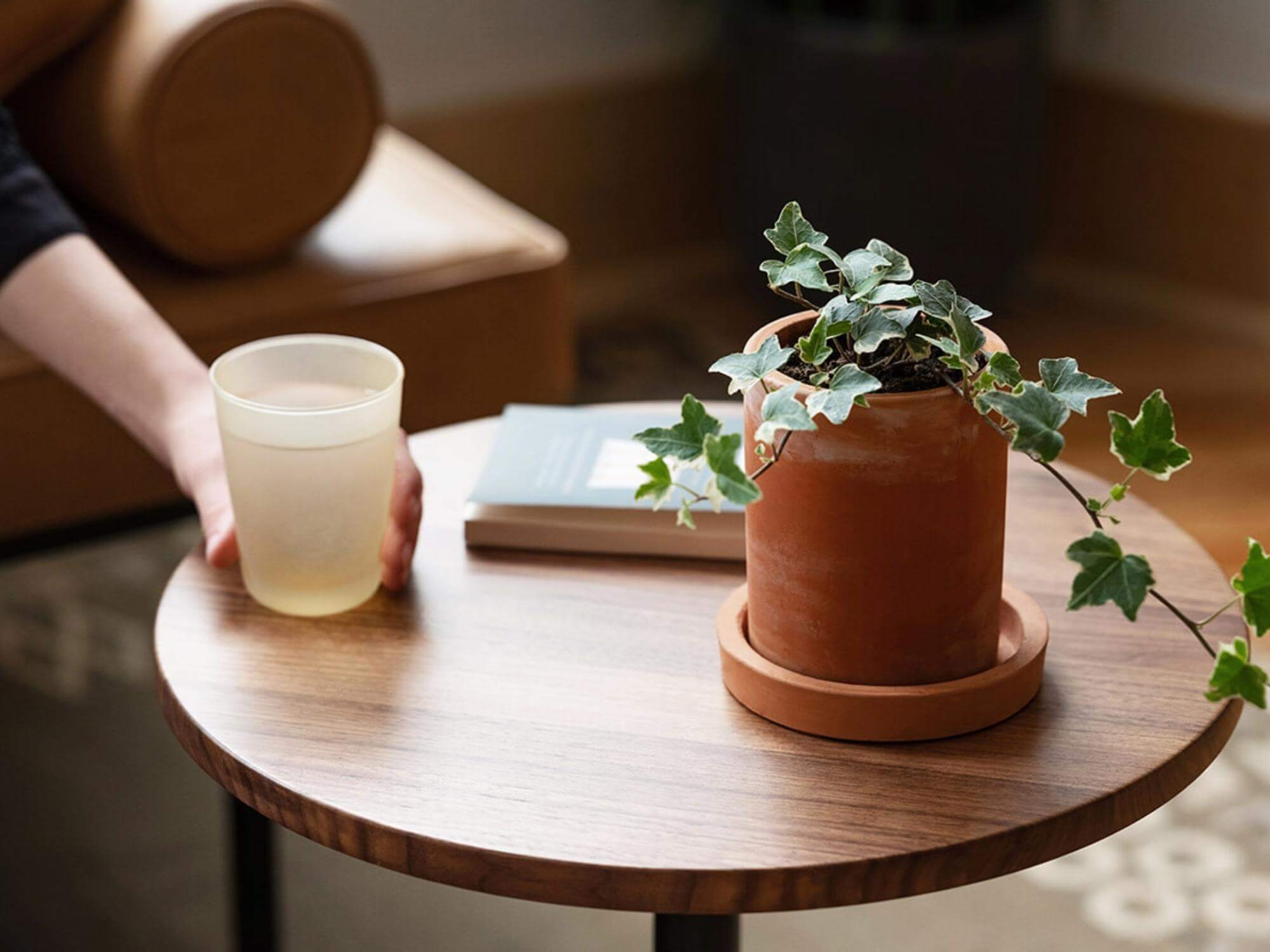 A terracotta clay planter on top of a round wood end table