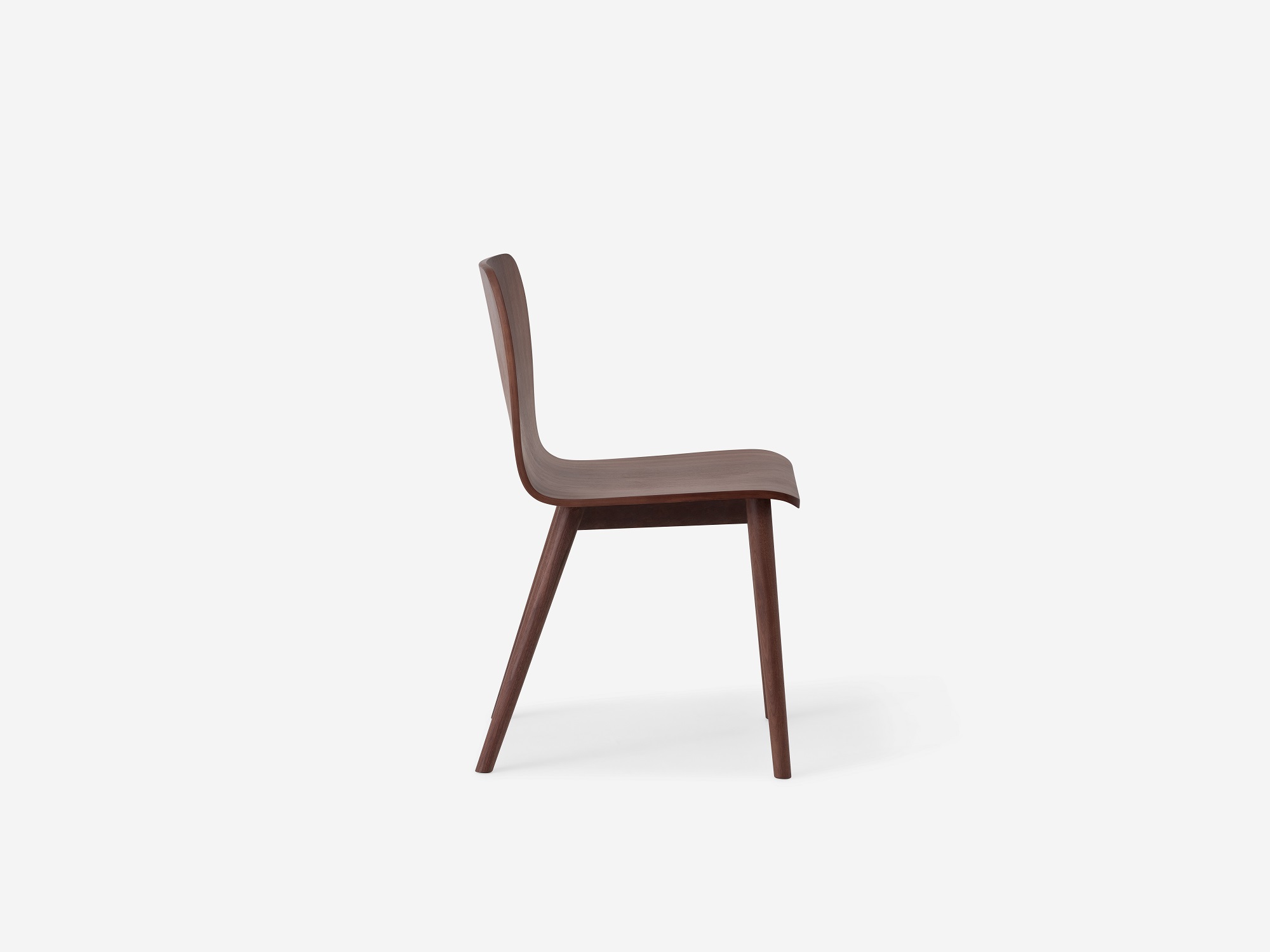 Side view of the Tami mid century dining chair in walnut