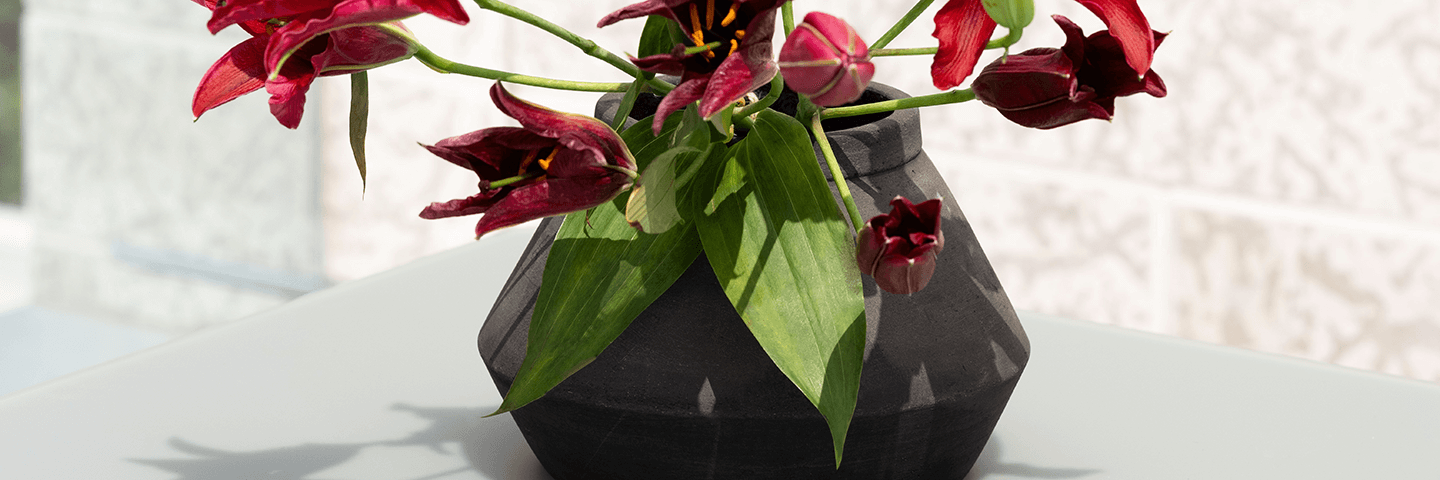 Black plant pot on outdoor dining table