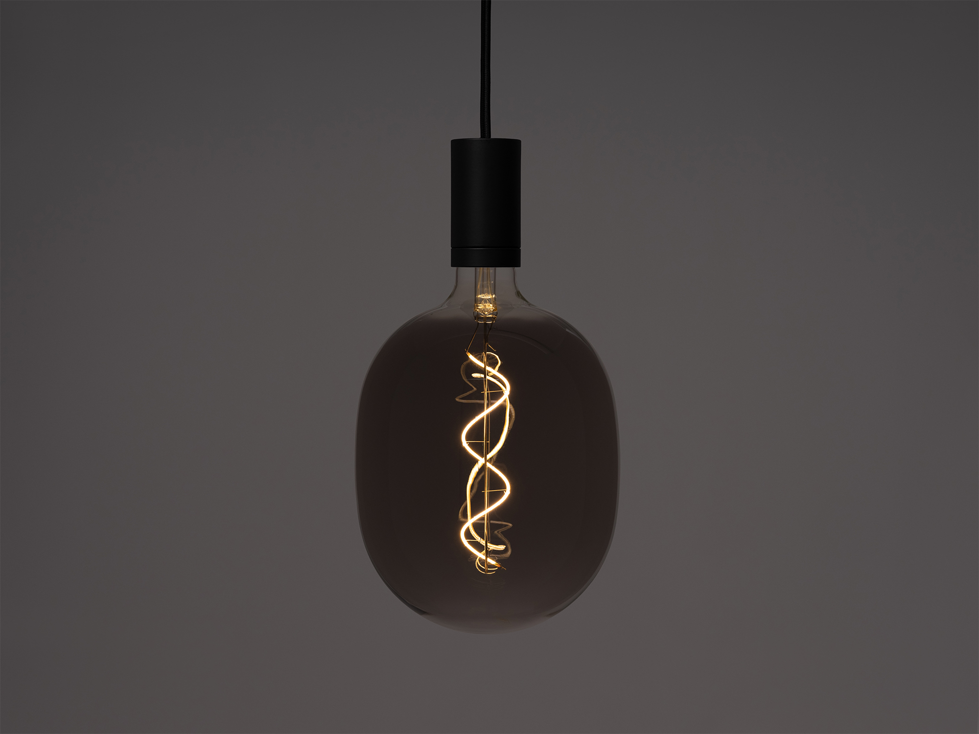 Large smoked grey edison light bulb in a pendant