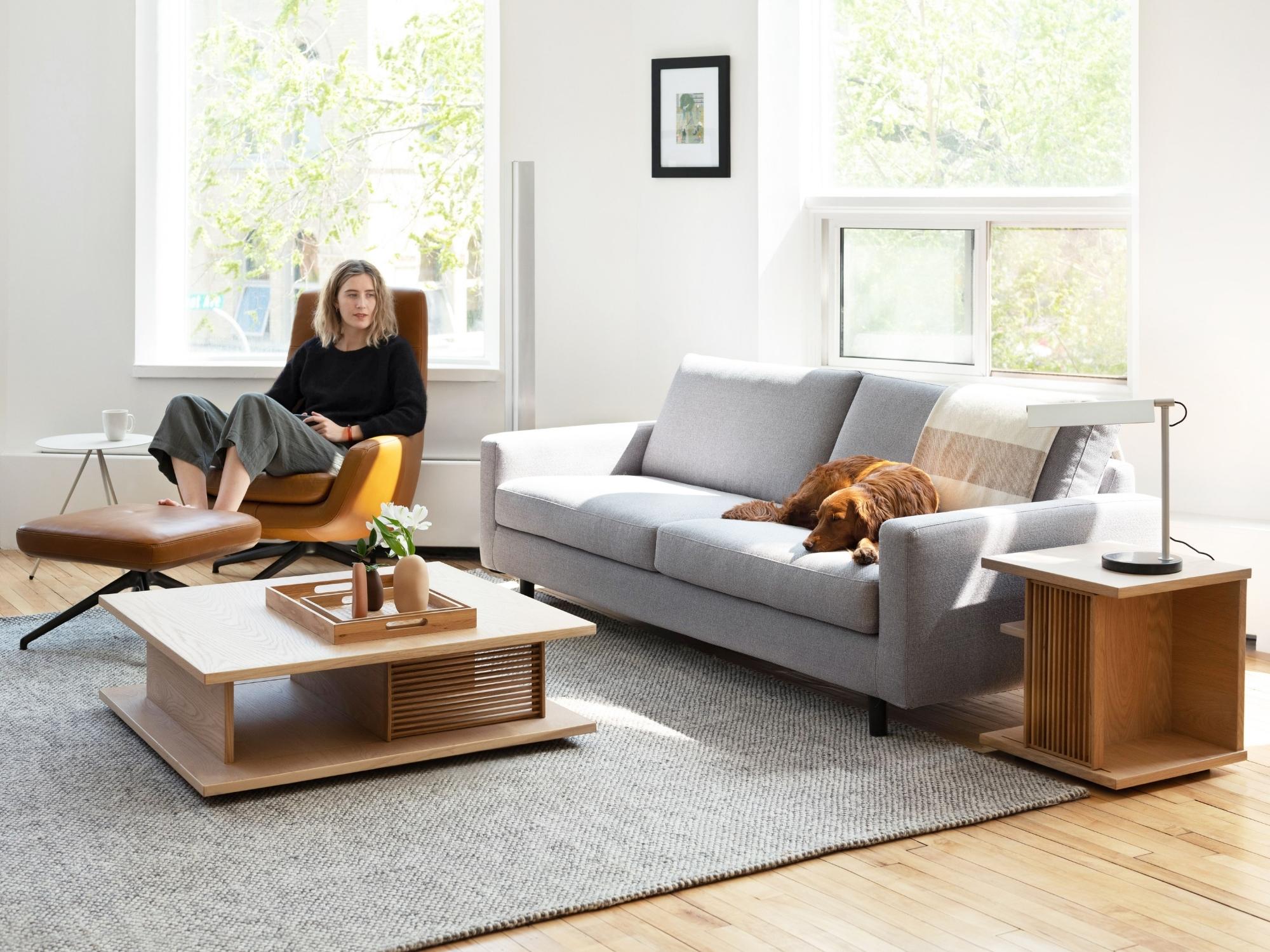 Gray rug under slatted coffee table with gray sofa, lounge chair, and dog