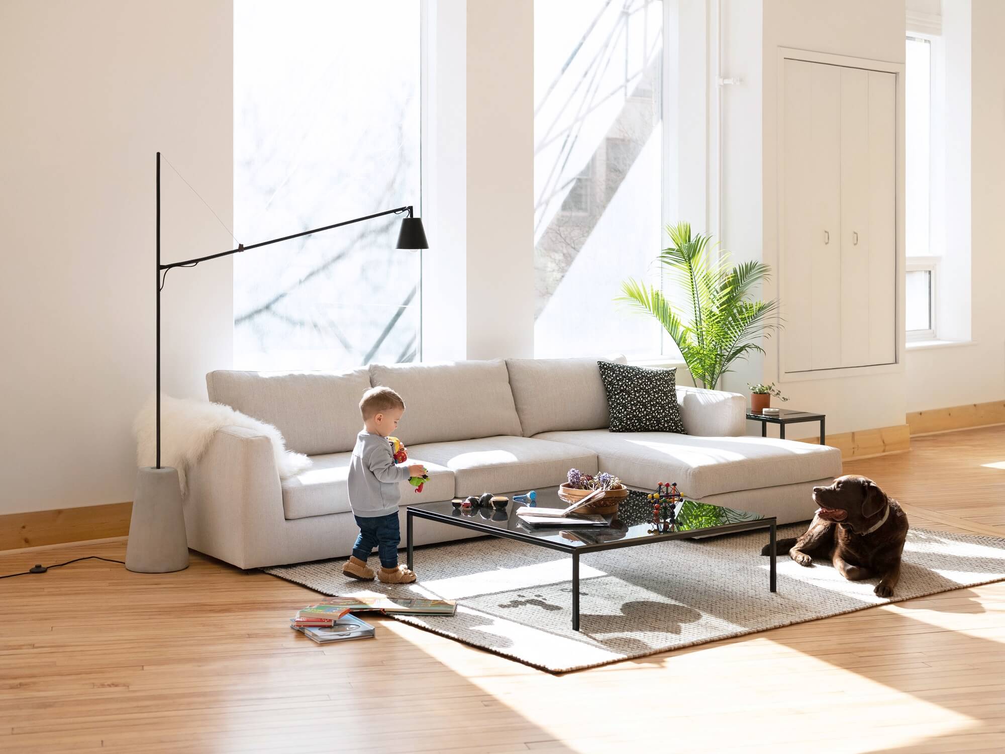 Beige sectional in living room with toddler and dog