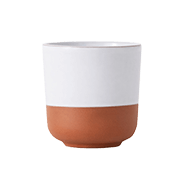 Front view of white and orange stoneware mug