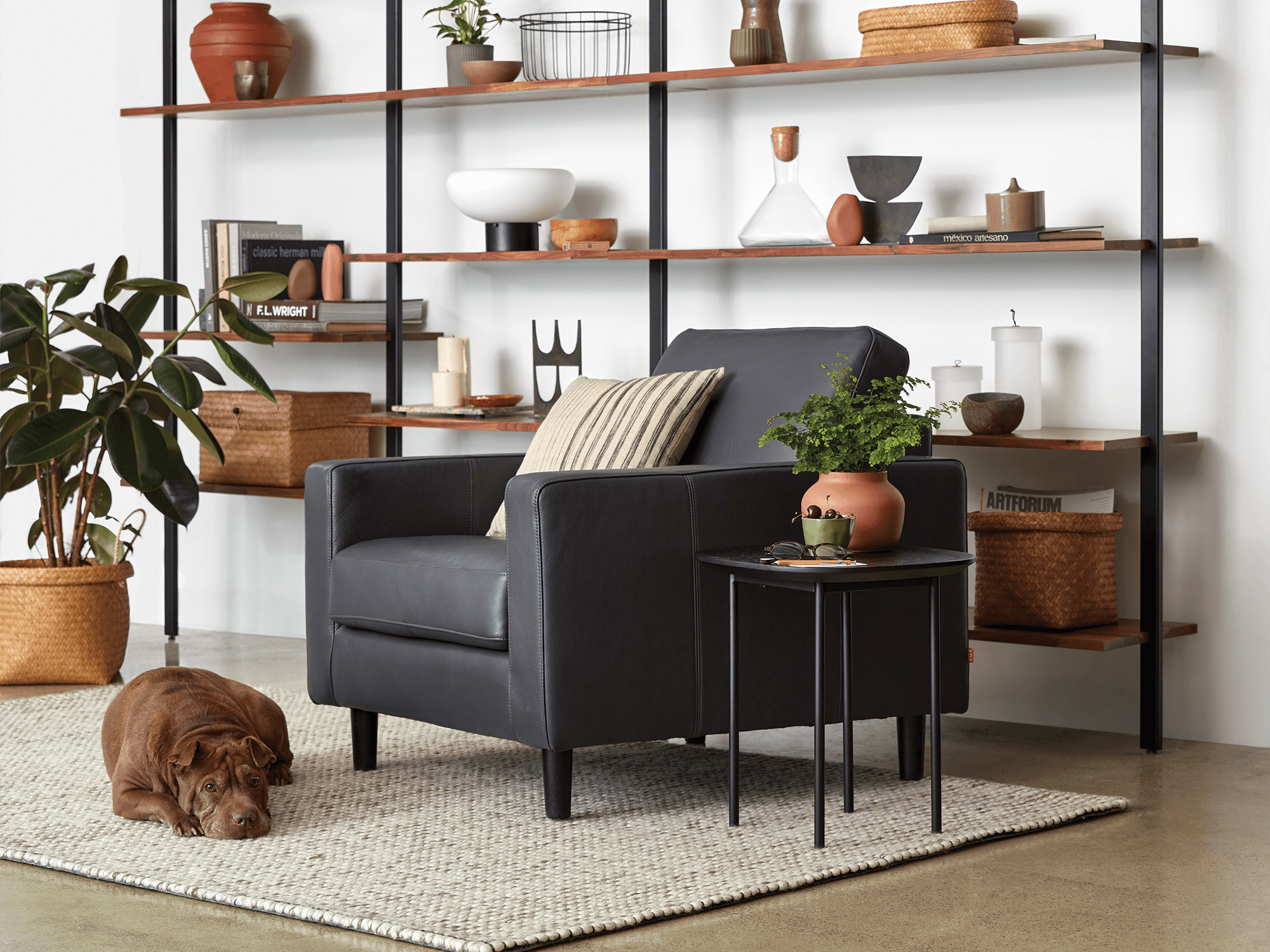 Black leather armchair in front of walnut open shelving bookcase