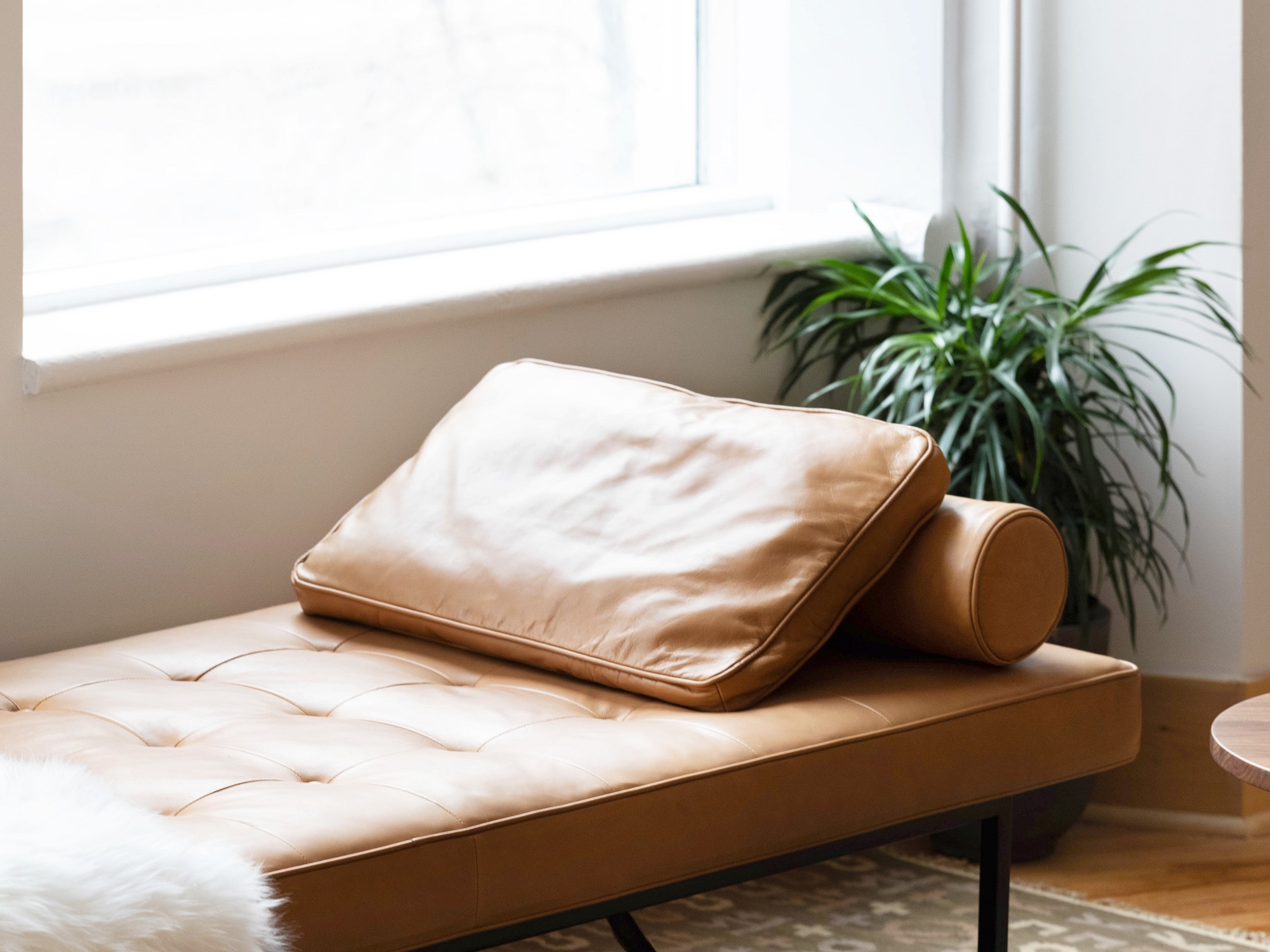 Square brown leather cushion on matching day bed next to window