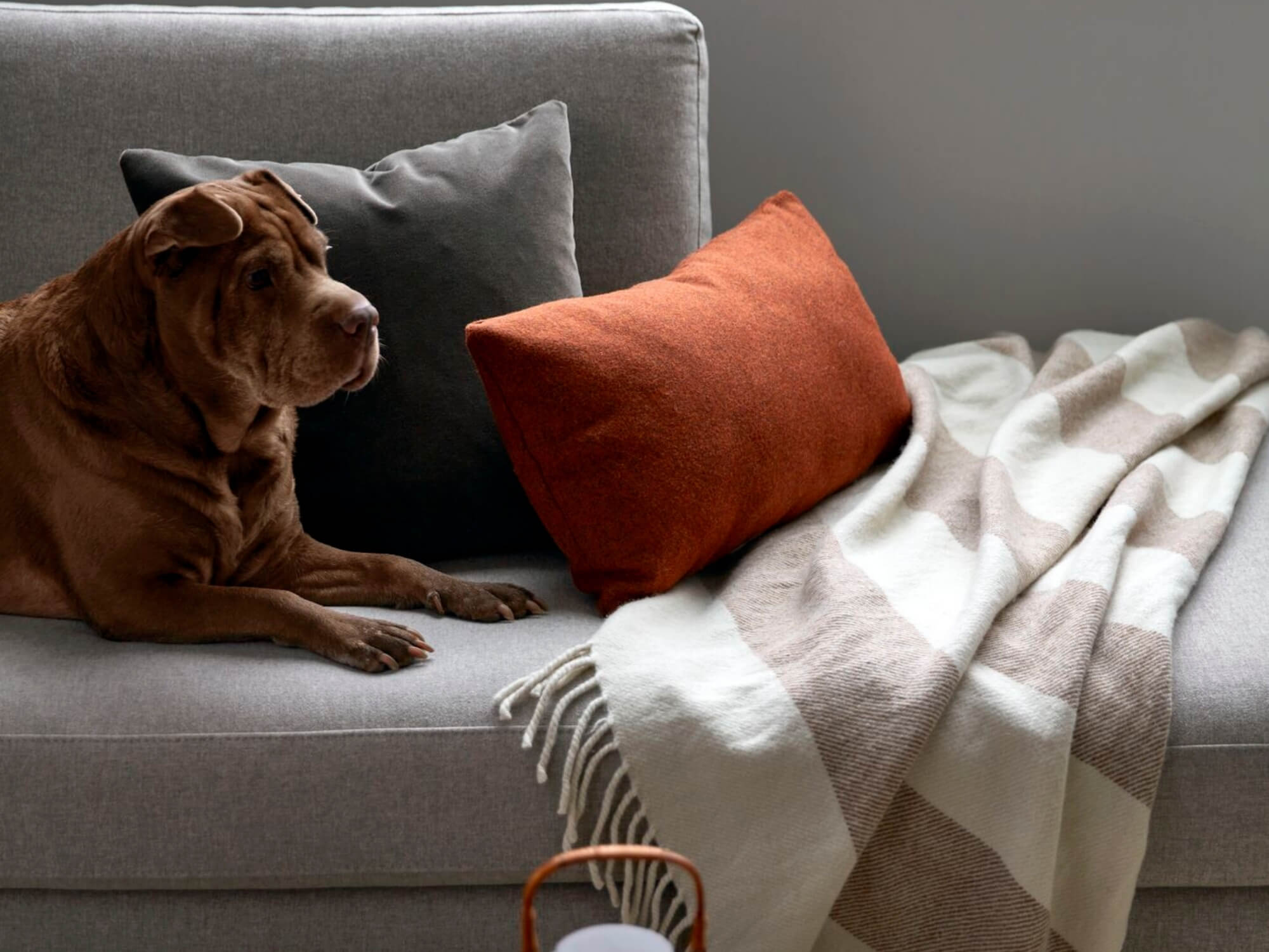 Striped beige throw across a brown leather sectional