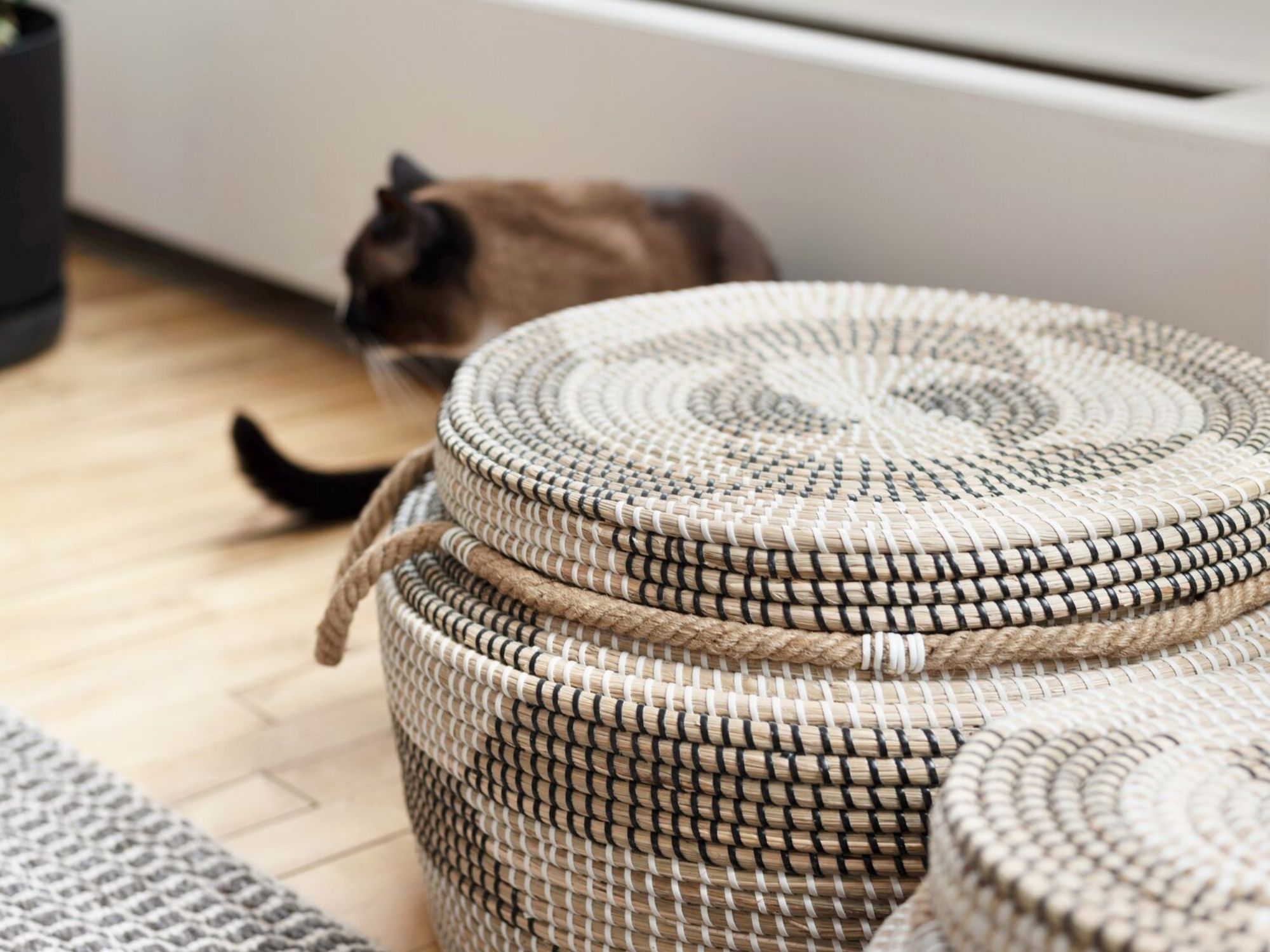 Two woven storage baskets in front of a cat in living room