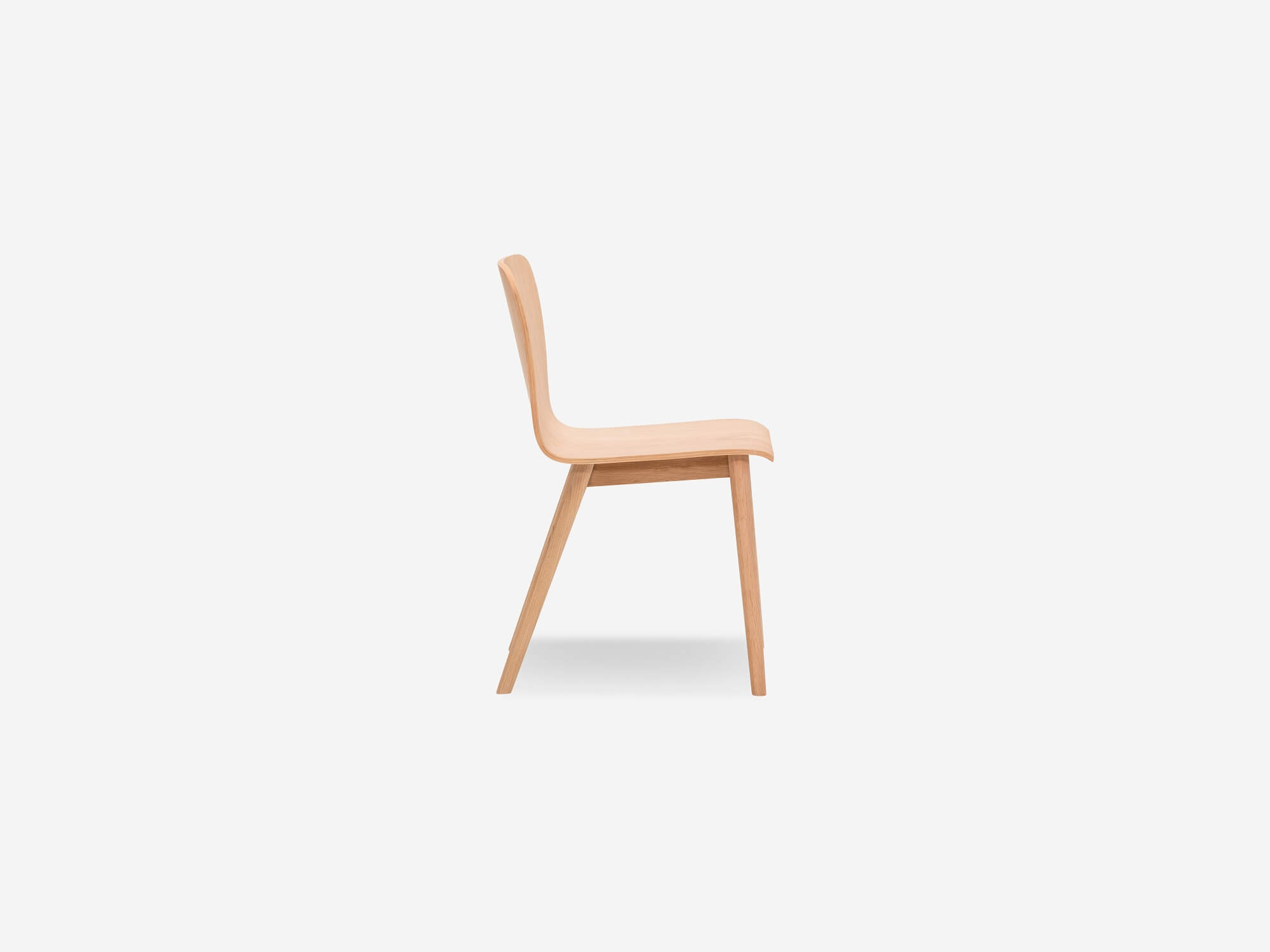 Pochico デンマーク sketch Tami chair /HAY Tami Chair | Sketch | CHANINTR