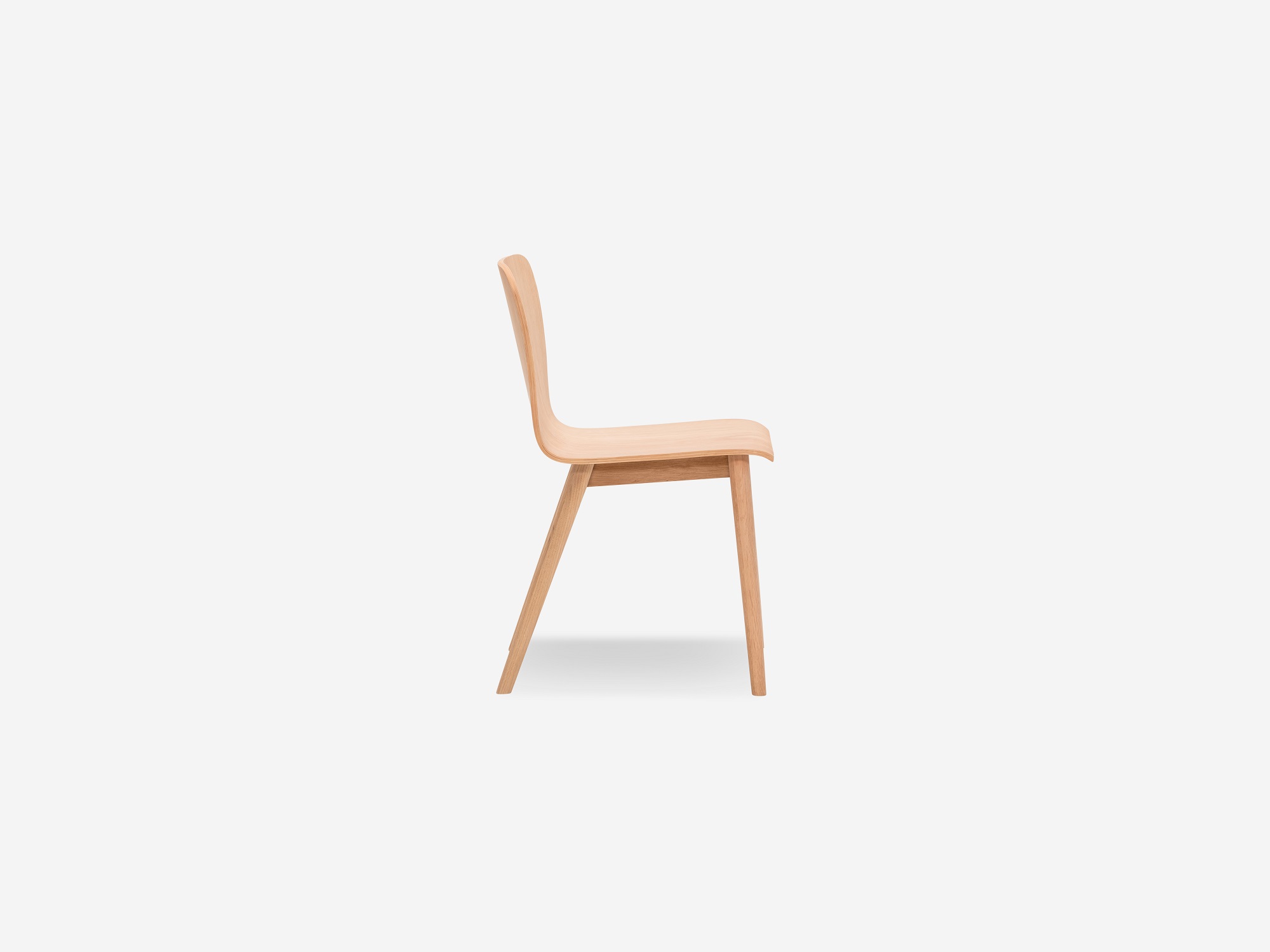 Side angled view of the Tami mid century dining chair in light oak