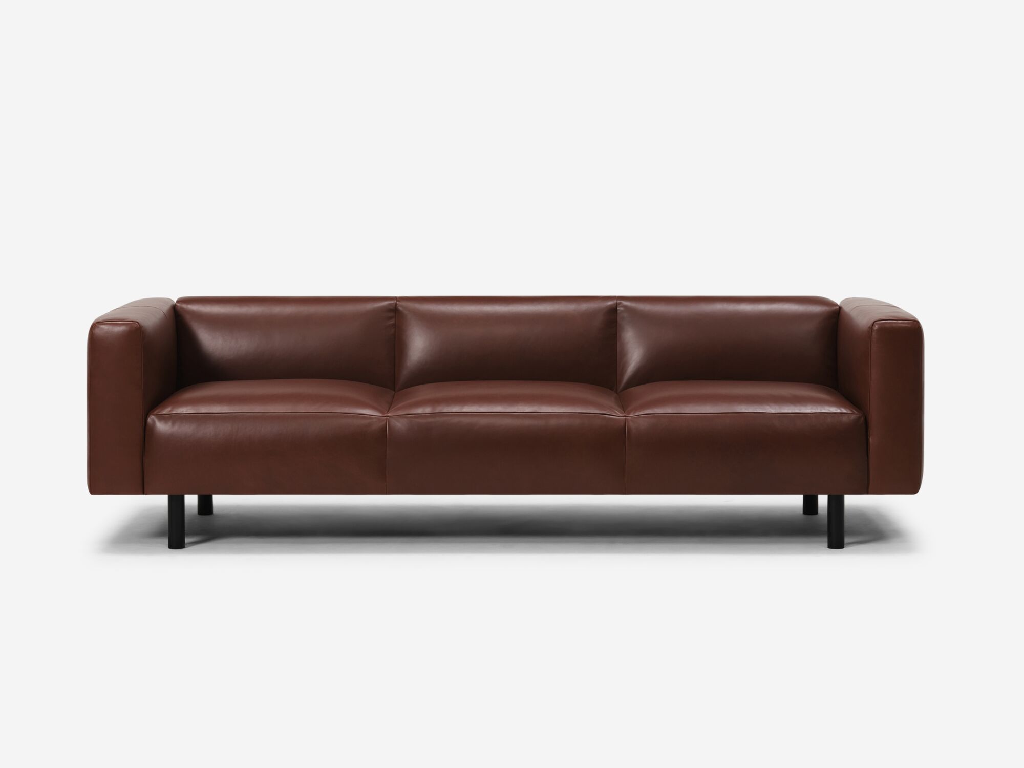 Dark brown leather sofa front view