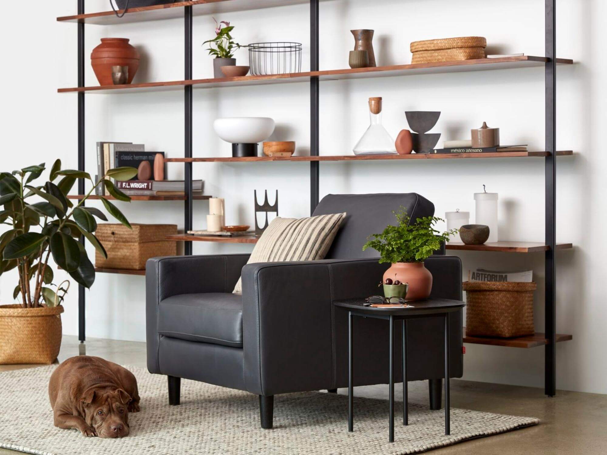 Beige and black accent cushion on black leather lounge chair near bookshelf