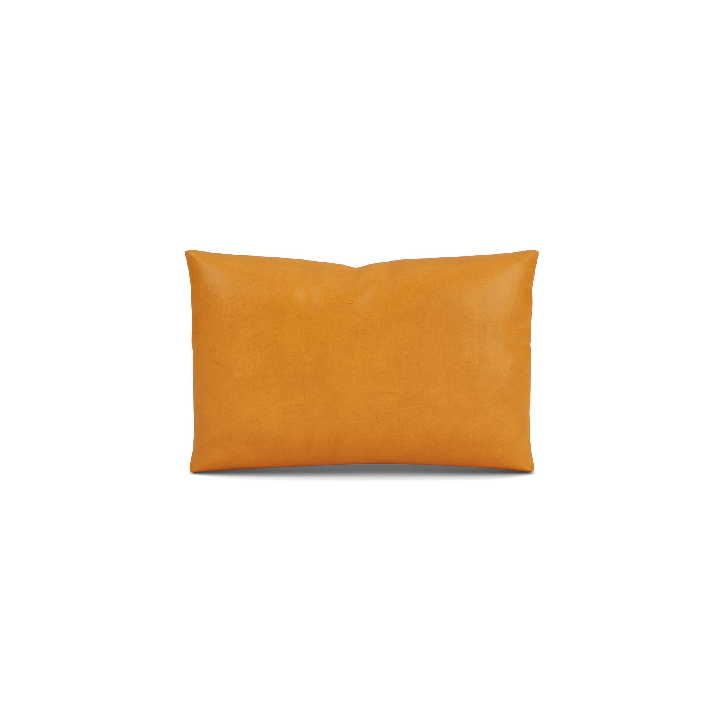 Replay Pillow
